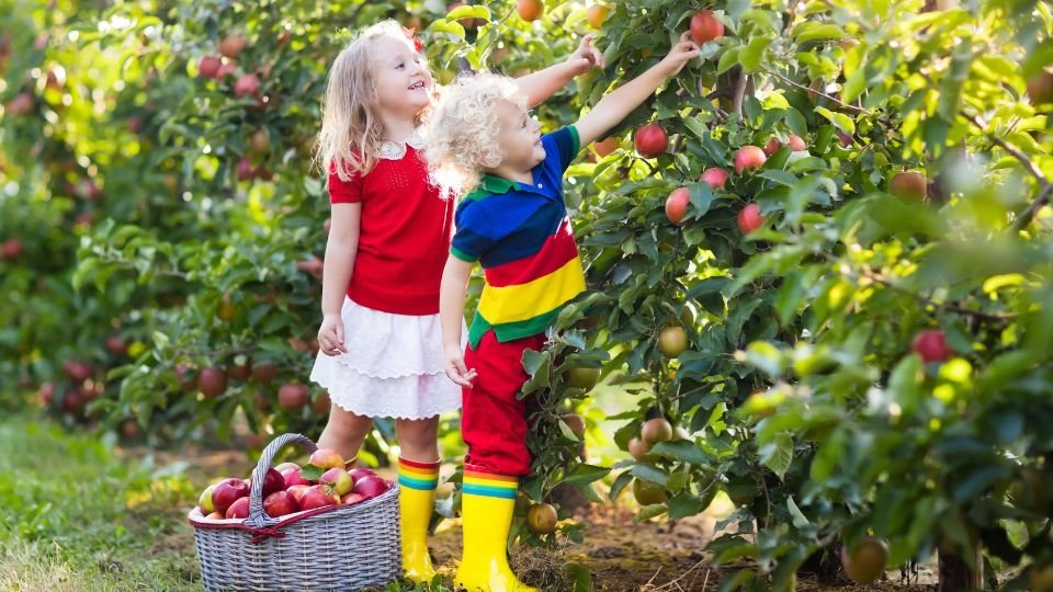 Két gyerek gyümölcsszedés közben egy almafánál, vidám pillanatok a kertben.