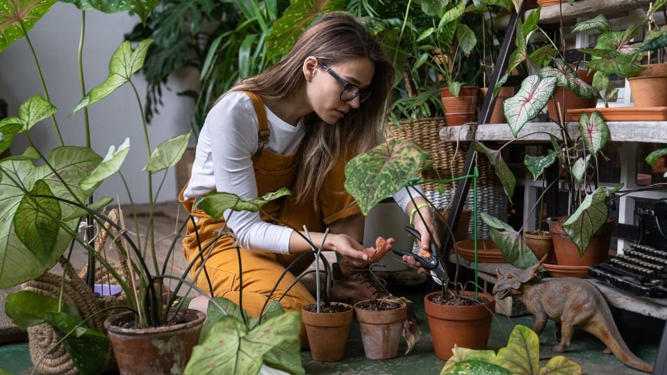 Egy fiatal nő szobanövényeket metszeni készül, körülötte zöld növények.
