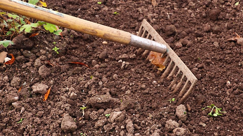 Egy gereblye a friss, megművelt földben, zöld növényekkel a háttérben.