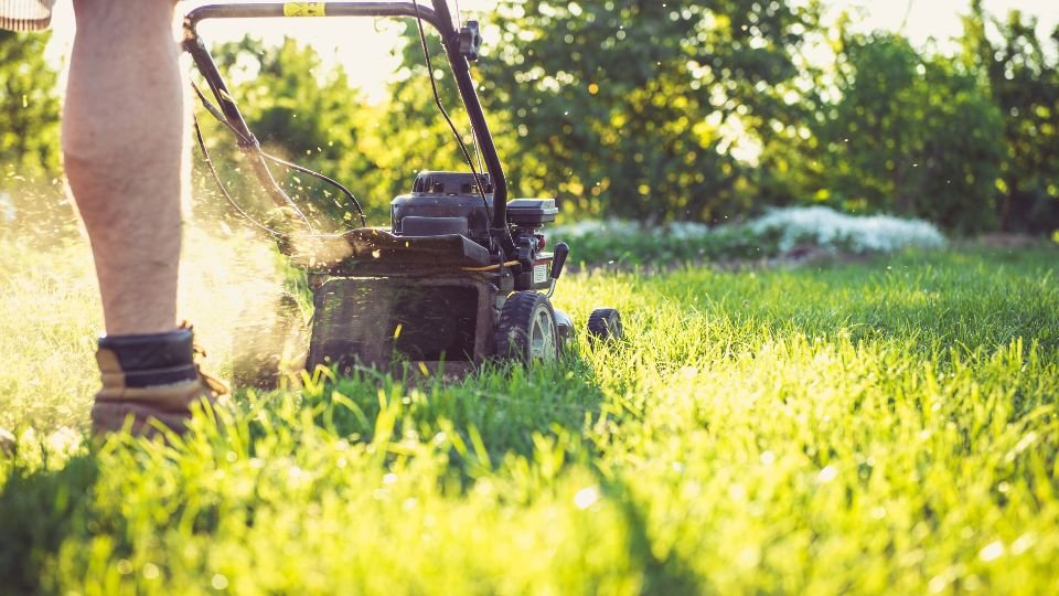 Egy ember fűnyíróval dolgozik a zöld kertben, napsütésben.