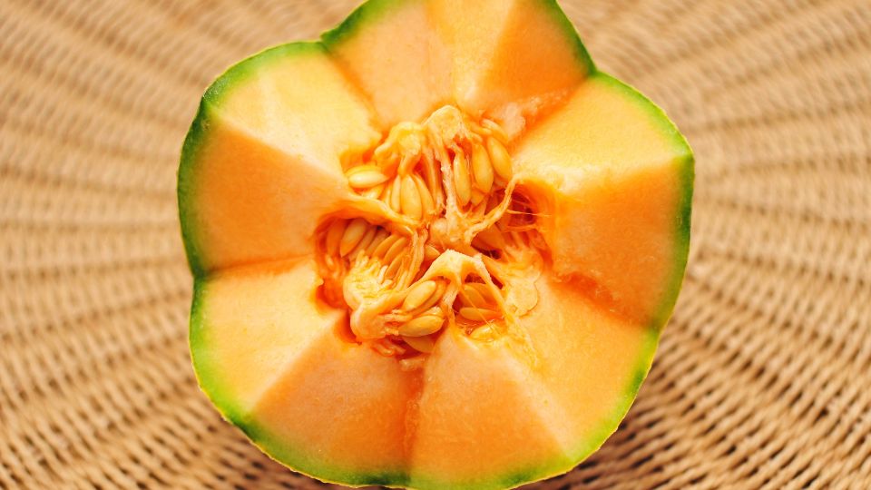 Sargadinnye Cantaloupe 1