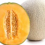 Sargadinnye Cantaloupe