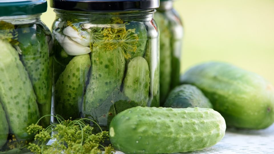 Tartósított uborkák üvegekben, friss fűszerekkel és fokhagymával.