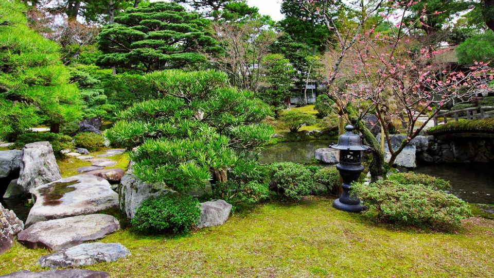 japankert 1