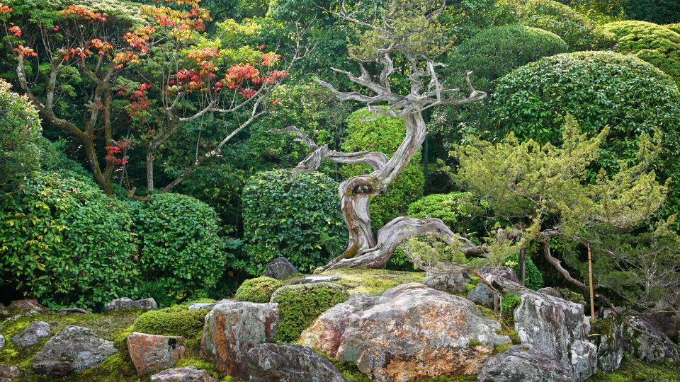 japankert 3