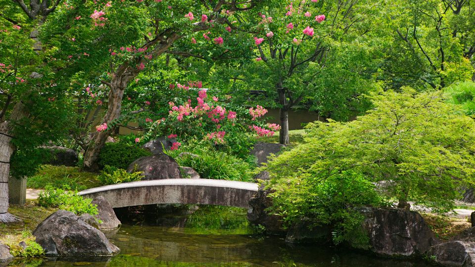 japankert 6
