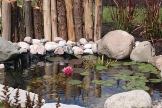 Kerti tó vízi növényekkel és kövekkel díszítve, nyugodt környezetben.