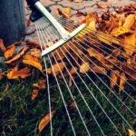 Egy gereblye fekszik a lehullott őszi leveleken, mellette egy vödör.