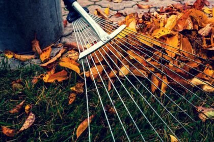 Egy gereblye fekszik a lehullott őszi leveleken, mellette egy vödör.