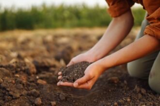 Őszi talajelőkészítés, kézben földdel, természetes környezetben.
