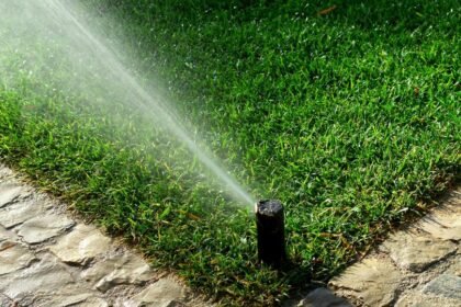 Öntözőrendszer működés közben, zöld fűvel és kövezett sétánnyal.