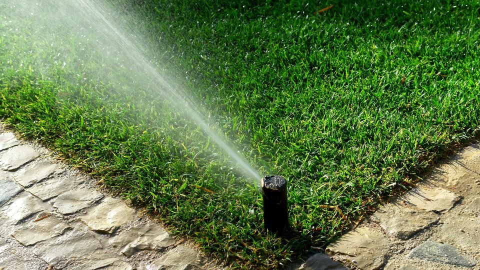 Öntözőrendszer működés közben, zöld fűvel és kövezett sétánnyal.