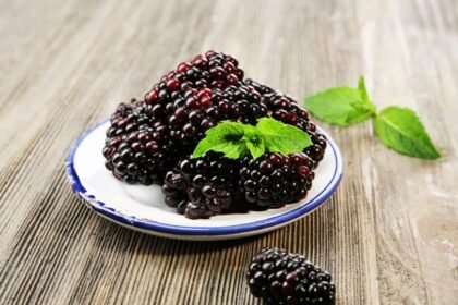 Friss szederbogyók egy tányéron, zöld mentalevéllel díszítve.