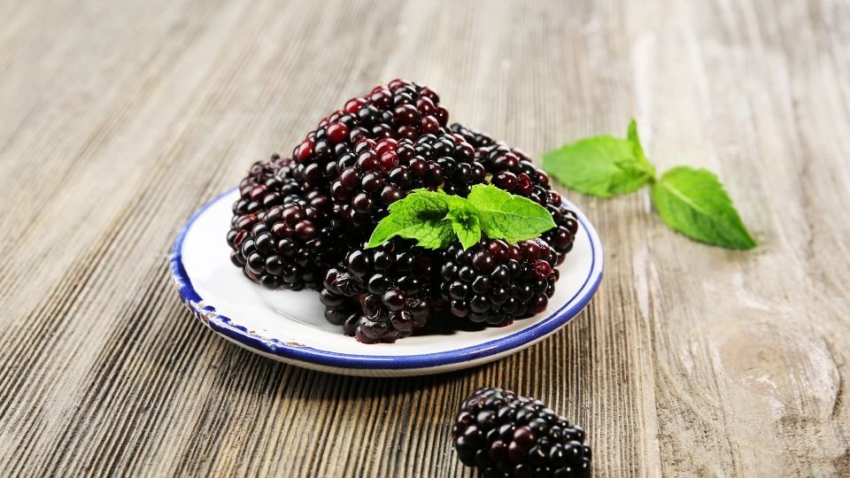 Friss szederbogyók egy tányéron, zöld mentalevéllel díszítve.