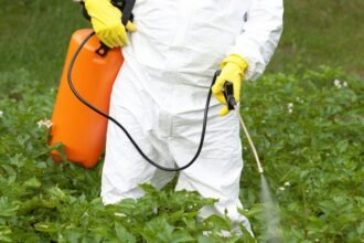 Egy védőruhát viselő személy gyomirtót permetez a zöld növények között.