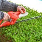 Egy ember elektromos sövényvágóval metsz egy buxus sövényt, zöld levelei között.