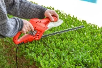 Egy ember elektromos sövényvágóval metsz egy buxus sövényt, zöld levelei között.