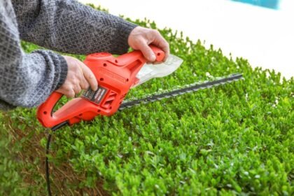 Egy ember elektromos sövényvágóval metsz egy buxus sövényt, zöld levelei között.