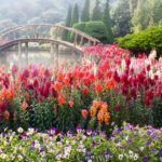 Színes virágokkal teli kert, háttérben egy íves híd és zöld fák.
