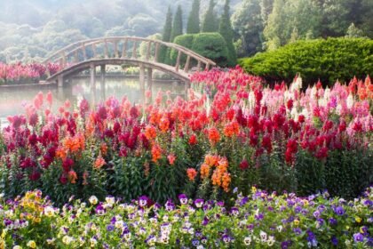 Színes virágokkal teli kert, háttérben egy íves híd és zöld fák.