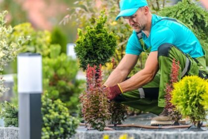 Egy kertész ültet növényeket egy szép kertben, gondosan dolgozik.