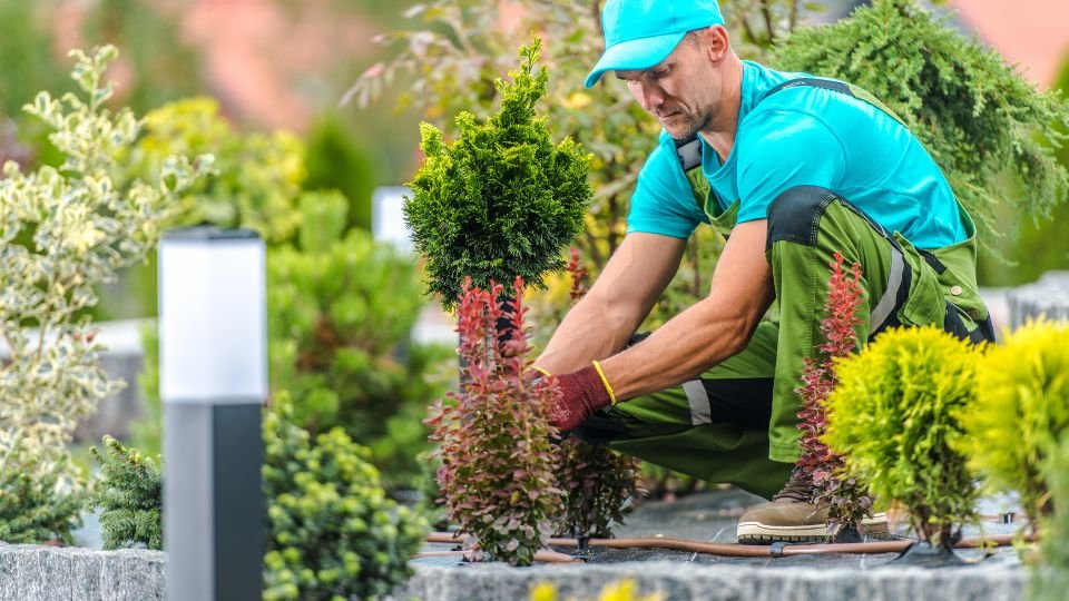 Egy kertész ültet növényeket egy szép kertben, gondosan dolgozik.