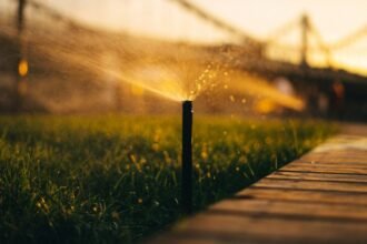 Reggeli locsolás a kertben, vízsugarak csillognak a napfényben.