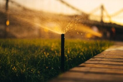 Reggeli locsolás a kertben, vízsugarak csillognak a napfényben.