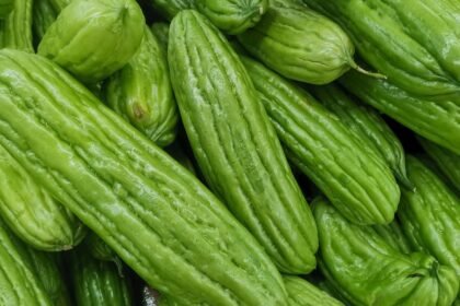 Zöld balzsamkörte gyümölcsök, sima felülettel és hosszúkás formával, egy tálban.