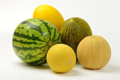 Különböző dinnyefajták, mint például sárgadinnye és görögdinnye, színes és friss megjelenésben.