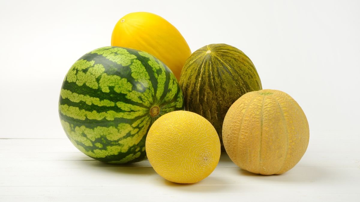 Különböző dinnyefajták, mint például sárgadinnye és görögdinnye, színes és friss megjelenésben.