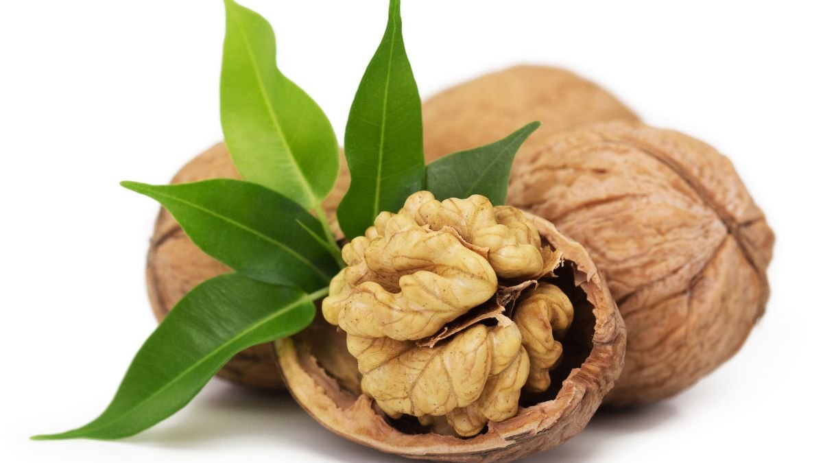 Friss dióbél és dióhéj, zöld levelekkel, a diófa ültetéséhez szükséges alapanyagokkal.