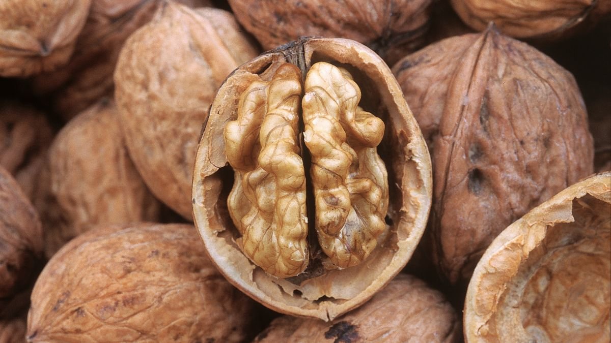 Egy félbevágott dió, amelynek ízletes, világos magja látható, körülötte héjak találhatók.