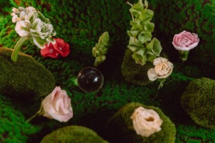 Színes virágok és zöld mohák egy varázslatos kertben, ahol a mikroorganizmusok segítik a növények egészségét.