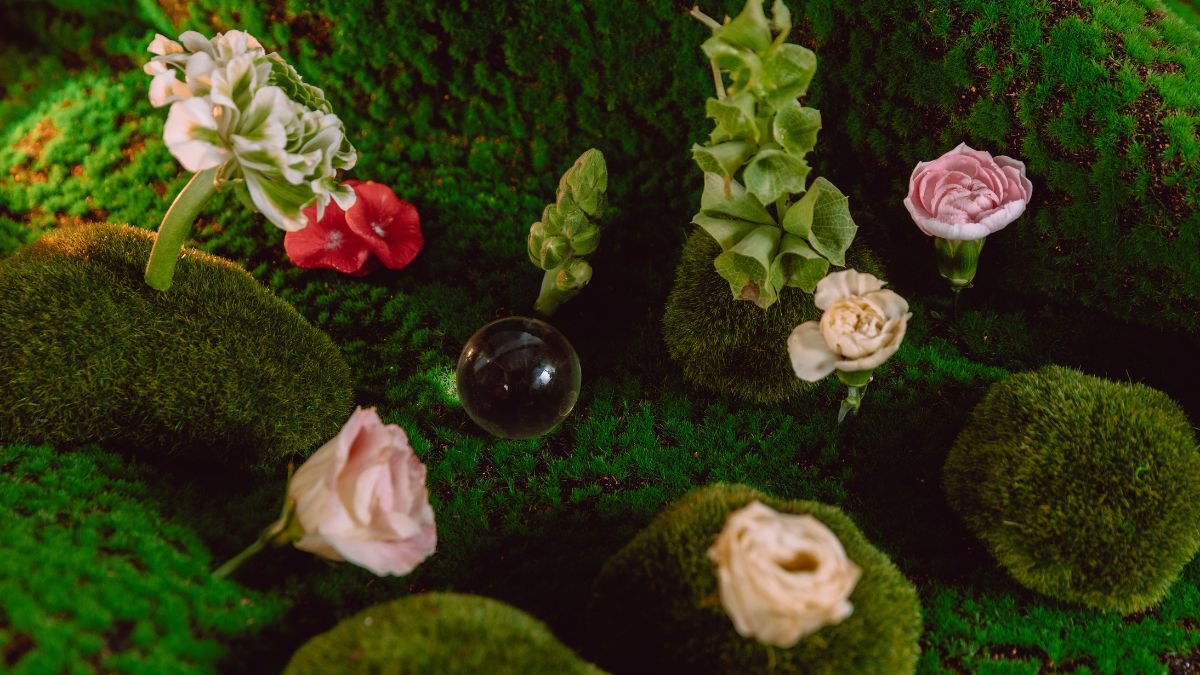 Színes virágok és zöld mohák egy varázslatos kertben, ahol a mikroorganizmusok segítik a növények egészségét.