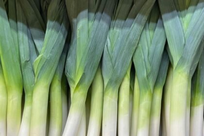 Friss, zöld póréhagymák sorakoznak egy piaci standon, készen a felhasználásra.