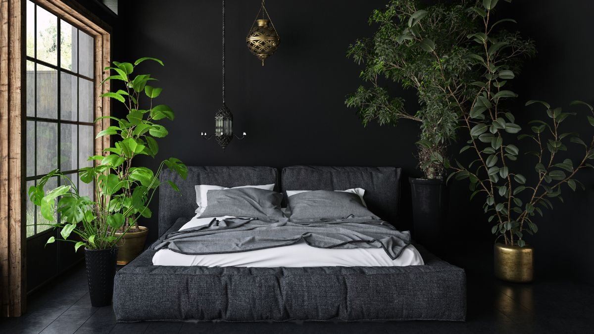 Egy modern hálószoba sötét falakkal, árnyéktűrő szobanövényekkel, amelyek feldobják a teret.