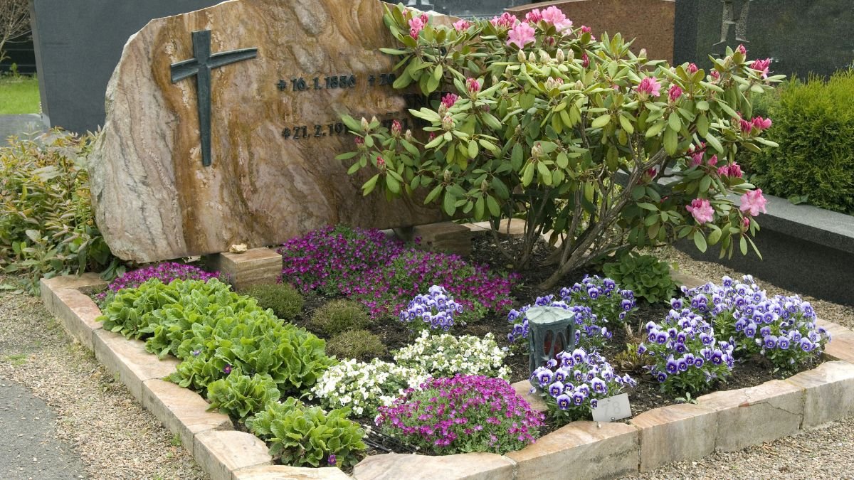Színes virágok, mint árvácska és különböző évelők díszítik a sírhelyet, mellette egy rózsaszínű rododendron.