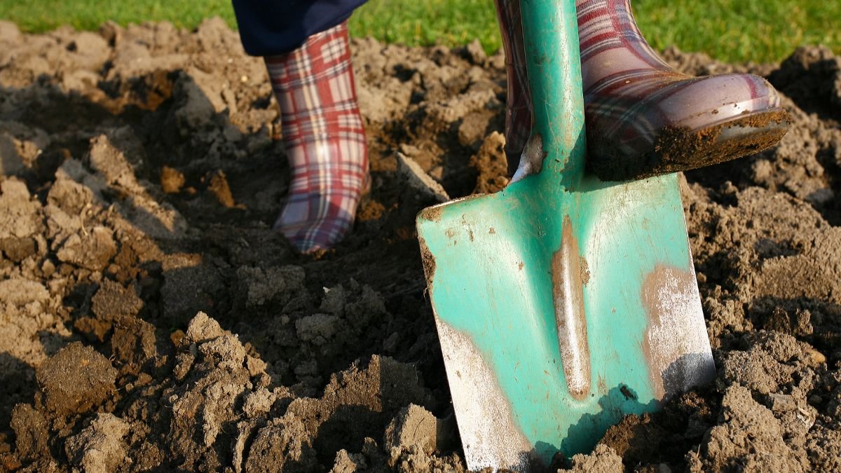 Egy ember gumicsizmában ásót használva dolgozik a friss földben, készülve az őszi talajápolásra.