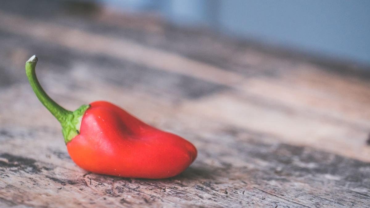 Friss, piros chili paprika fekszik egy rusztikus fafelületen, készen állva az ültetésre.