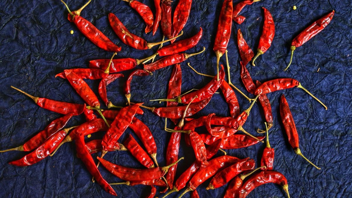 Friss, élénk piros chilis paprikák szétszórva egy sötét textilfelületen.