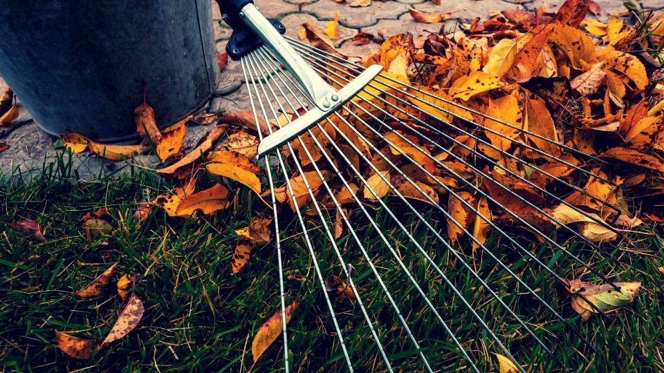 Egy gereblye áll a földön, körülötte színes őszi levelek hevernek, jelezve a novemberi kerti teendőket.