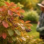 - Fanyarka betegségei és kártevői: időben felismerve hatékony védekezés érhető el.