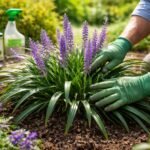 - Tajvani pupliliom: a leggyakoribb probléma a gombás betegségek és kártevők.