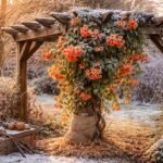 - Trombitafolyondár teleltetése télen megköveteli alapos előkészítést és fagykárok elleni védelem.