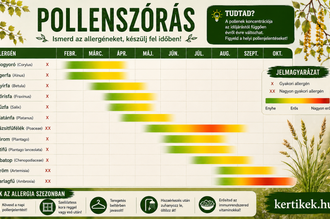 Pollenaptár hónapról hónapra a fák, füvek és gyomnövények allergiaszezonjáról