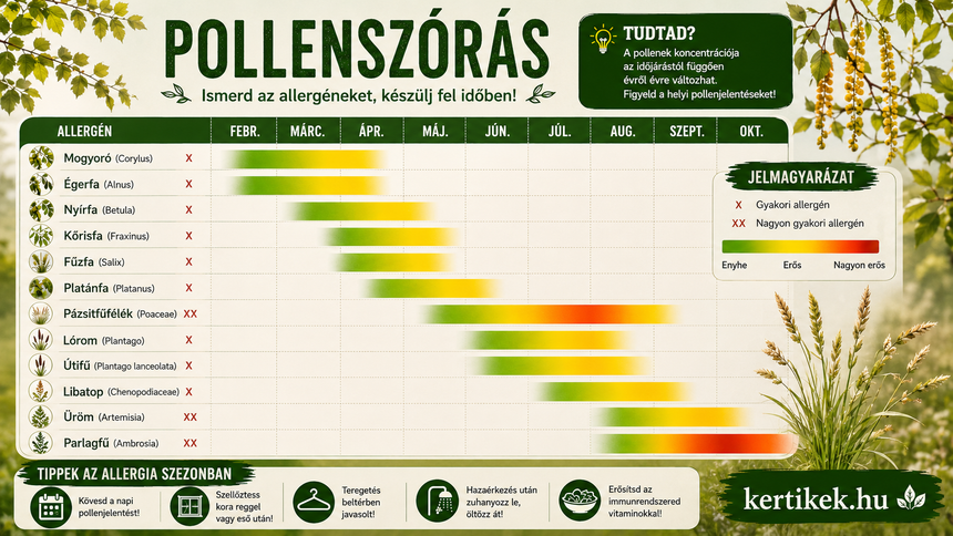 Pollenaptár hónapról hónapra a fák, füvek és gyomnövények allergiaszezonjáról